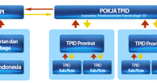 Inilah Struktur dari Tim Pemantauan dan Pengendalian Inflasi Daerah ( TPID ) |gambar: bi.go.id