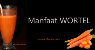 Manfaat Wortel