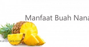 Manfaat Nanas