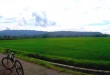 Memalukan! Negeri Para Petani Tapi Import Produk Pertanian dari Negara Industri!